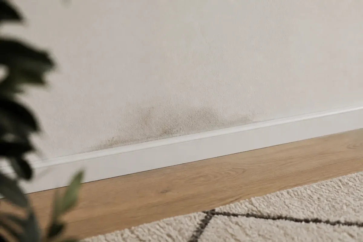 Bas de mur de salon avec tache grisatre
