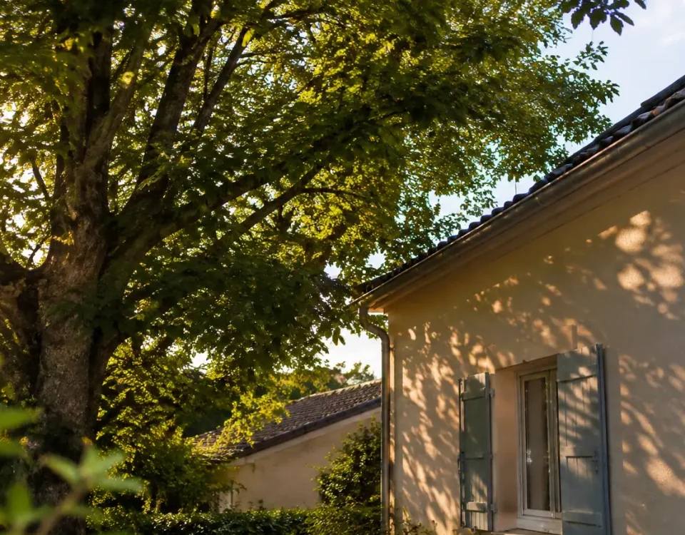 Grand arbre au sud assombrissant la maison voisine