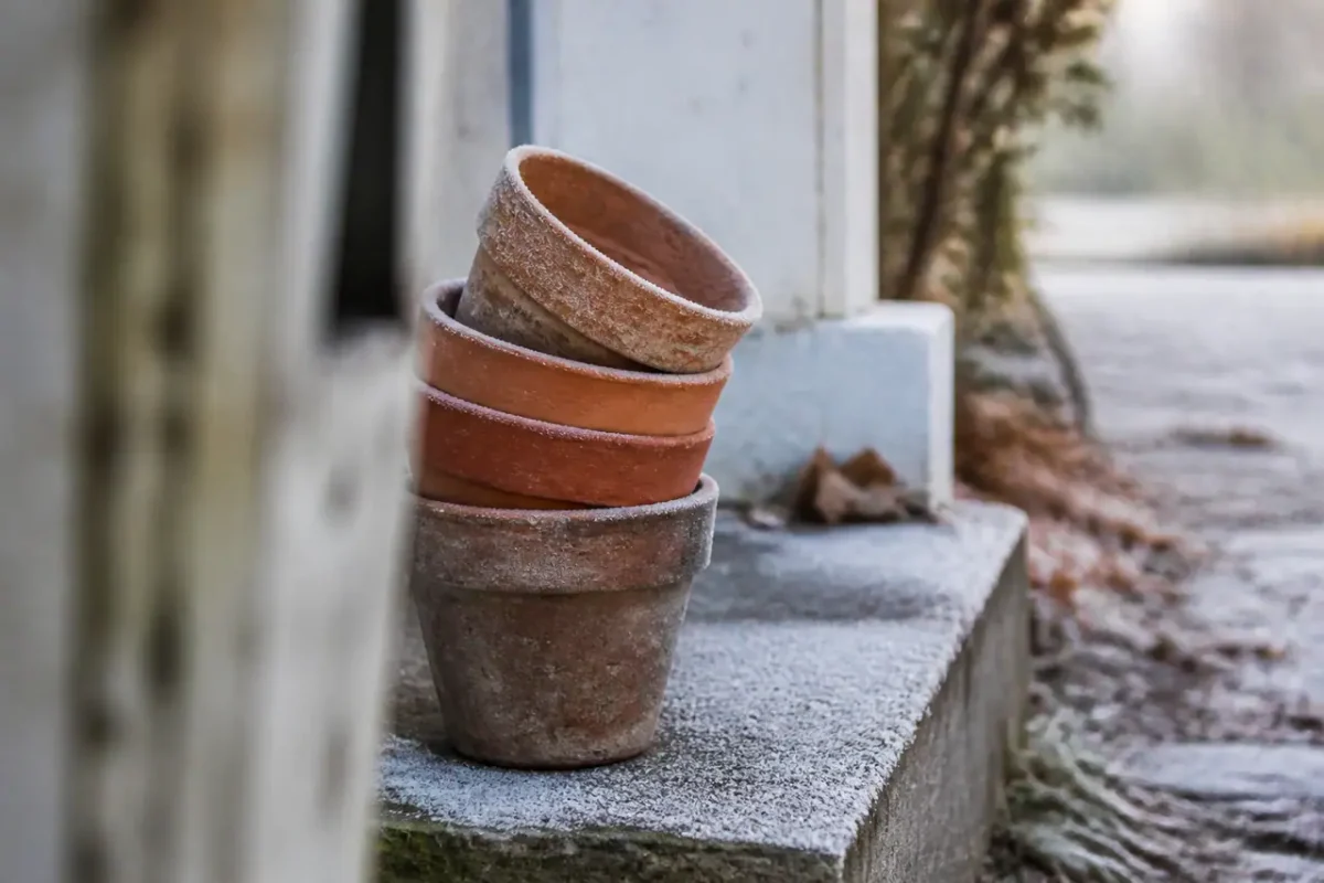 Pots vides empilés sur une marche givrée