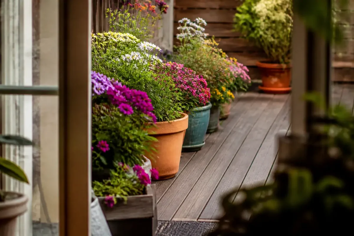 Rangee de pots fleuris sur une terrasse en bois